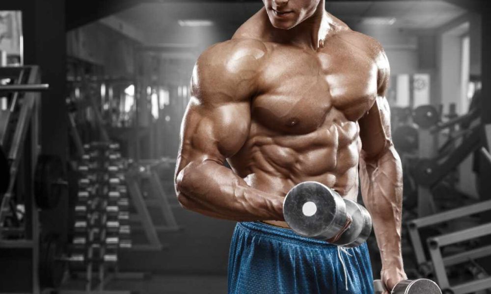 Important Things to Know About L Arginine
